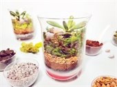 sand art terrarium