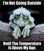 Humorous Winter Picture
